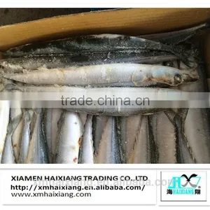 Frozen Fish-Saury Fish thumbnail-5