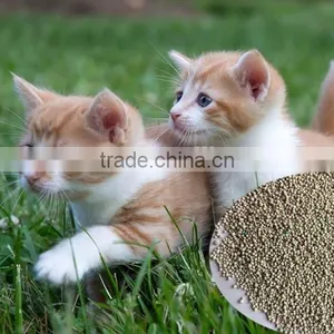 Wholesale High Absorbent Bulk 100% Sodium Bentonite Cat Litter for Sale thumbnail-5