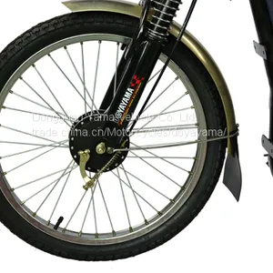South Asia Market Cargo Loading Bike Electric Bike Electric Bicycle for Wholesale thumbnail-2