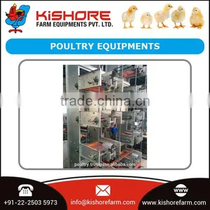 Latest Technology Made Automatic Poultry Equipments Supplier thumbnail-1