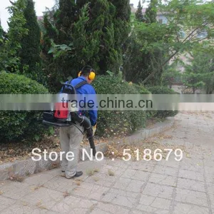 Hot Selling Gasoline 2 Cycle Backpack Leaf Blower EB650 thumbnail-1
