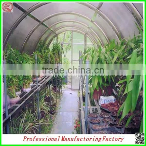 Single-span Large Tunnel Solar Greenhouse for Flower/vegetable Growing thumbnail-6