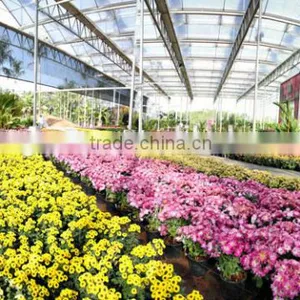 Glass Greenhouse-2 thumbnail-5
