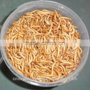 High Protein Dried Mealworms Wild Bird Food(freeze Dry) thumbnail-1