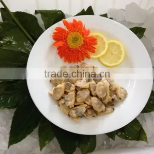 America Standard Short Necked Clam Meat thumbnail-6