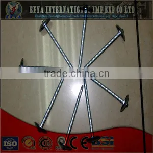 Steel Nail thumbnail-1