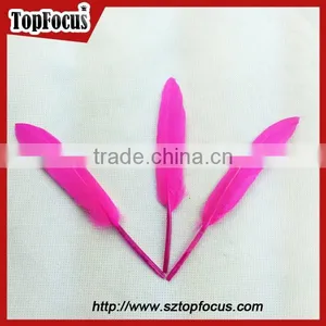 Cheap Dyed Any Color Indian Feather Headdress Down Goose Feather Price thumbnail-1