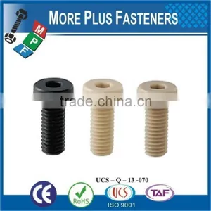Made in Taiwan Hex Socket Plastic Cap Screw Cross Recess Pan Head Plastic Material Screw thumbnail-1