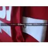 2010-NHL-Size 48-54-> #19 Shane Doan Phoenix Coyotes Red NHL Jersey thumbnail-1