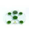 Electronic Scale thumbnail-1
