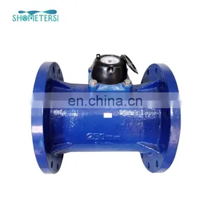 250 mm Woltman Industrial Impluse Output Resettable Water Meter thumbnail-1