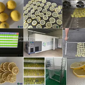 Lemon Dryer (slice Drying) thumbnail-1