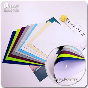Popular Hot Sale White Color Foaming Sunshade Fabric thumbnail-1