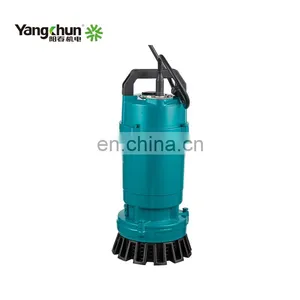 Mini Submerged Electric Submersible Clean Water Pump With Float Switch thumbnail-1