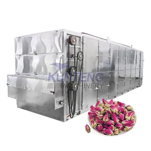 Automatic Nutmeg Dryer Machine Band Dryers Electric Dryer Machine Flower Drying Machine EPC thumbnail-1