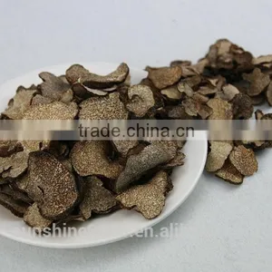 Wild Chinese Black Truffle Mushroom in Yunnan thumbnail-2