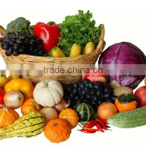 Lifelike Artifical Fruit For Decoration thumbnail-1