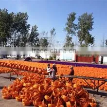 Linyi Goldlion Wicker Co., Ltd. company overview - view 1 thumbnail