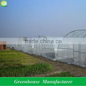Galvanized Steel Pipe Economical Tunnel Greenhouse thumbnail-1