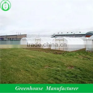 Mini Plastic Greenhouse thumbnail-1