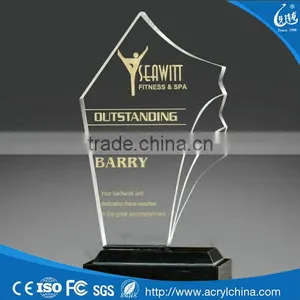Hot Sale Customized Clear Silk Screen Logo Acrylic Trophy thumbnail-1