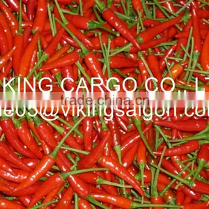 FRESH SMALL CHILI thumbnail-1