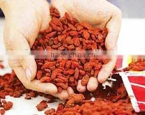 Zhongning Gouqi Berry thumbnail-3