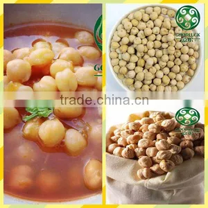 Wholesale China Chickpeas of Good Quality (2013 Crop) thumbnail-2