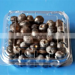 High Quality Plastic Fruit Box Container thumbnail-5
