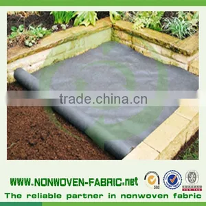 Anti-UV Treatment pp Spunbond Nonwoven Fabric Agriculture Cover/pp Spunbond Tunnel Supplier's Choice thumbnail-4