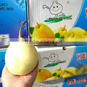 Fresh Pears/New Fresh ya Pear/Fresh ya Pear thumbnail-1