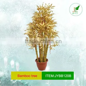 Group Golden Bamboo Plant in Plastic Pot thumbnail-1
