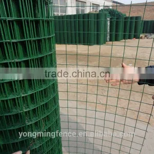 Galvanized and Powder Coating Welded Euro Fence for Sale thumbnail-6