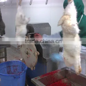 Rabbit Processing Plants thumbnail-1