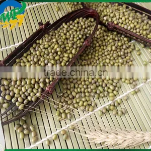 High Quality Organic Green Mung Beans for Sale thumbnail-2