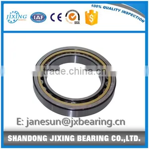 Good Quality Cylindrical Roller Bearing N204 thumbnail-1