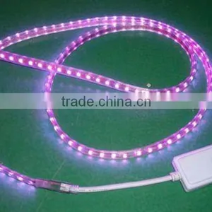 100m/roll 5050 Led Strip Light 220-240v thumbnail-2