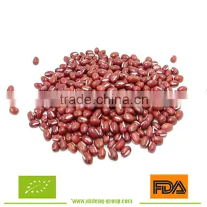 Adzuki Bean thumbnail-1