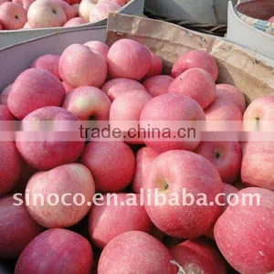 Fresh Fuji Apple thumbnail-1
