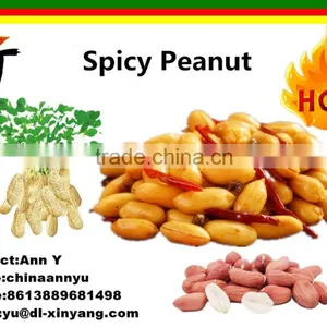 Spicy Hot Fried Peanut thumbnail-6