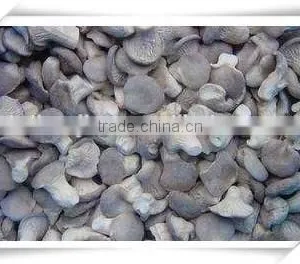 Famous Brand in China /popular Food/ China Frozen Food Mushroom thumbnail-6