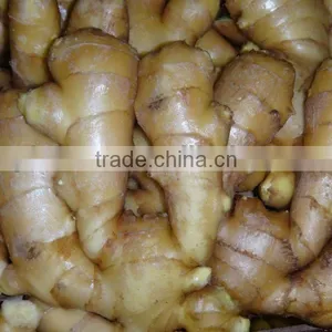 2014 New Air Dry Fresh Ginger thumbnail-4