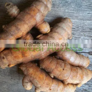Fresh Turmeric thumbnail-1