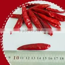 2013 New Whole Xinyidai Chilli thumbnail-1