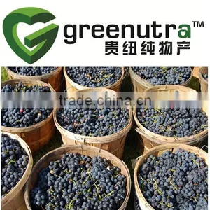 Black Currant Juice Powder thumbnail-1