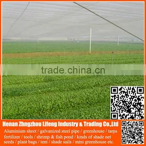 China Manufacture Hdpe With uv Greenhouse Insect Net , Plastic Agriculture pe Anti-insect Net , Nylon Insect Net With Low Price thumbnail-1