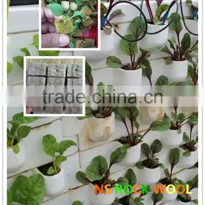 Rock Wool Cubes for Seed Starting thumbnail-5