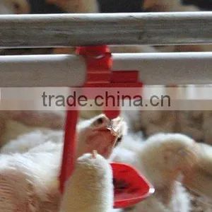 ^Agriculture Equipment for Poultry Drinking/chicken Egg Poultry Farm Equipment/poultry Nipple Drinking System thumbnail-4