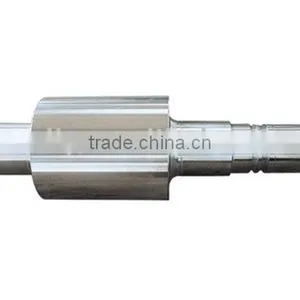 Alloy Cast Steel Roll thumbnail-1