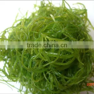Carrot Multiple Layer Continuous Type Mesh Belt Dryer thumbnail-6